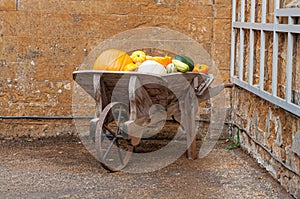 Pumpkins and squashes in wooden barrow