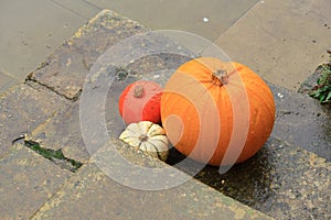 Pumpkins on a step for Halloween