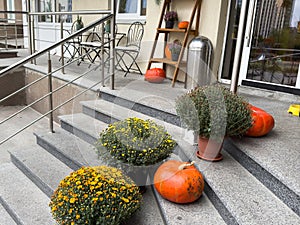 pumpkins on the steps at the door. Decorations for Halloween. Copy space for your text