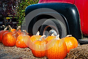 Pumpkins surround the front wheel of a vintage pickup truck