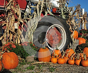 Pumpkins and Tractor