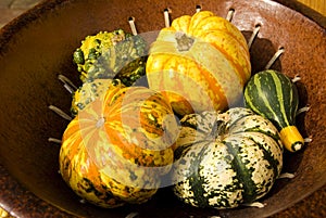 Zucca verdura 