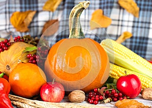 Pumpkins, vegetables, fruit and autumn leaves on the wooden background. Autumn harvest. Happy Thanksgiving. Close-up