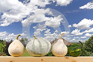 Pumpkins on a a window sill with cloudy sky