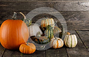 Pumpkins on wooden background