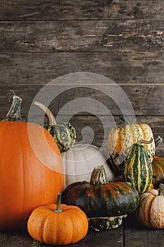 Pumpkins on wooden background