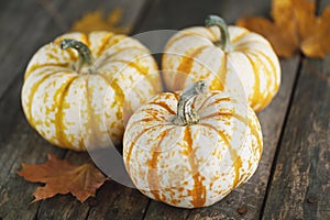 Pumpkins on wooden background