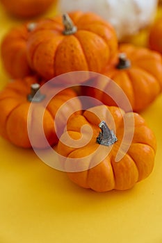 Pumpkins on a yellow background