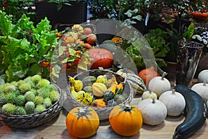 Pumpkins, zucchini, cucumbers and physalis on the table