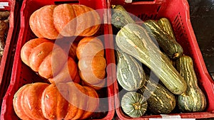 Pumpkins and zucchini in red boxes