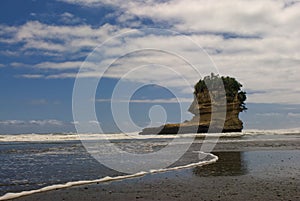 Punakaiki beach, West Coast, South Island, New Zealand