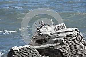 Punakaiki Pancake Rocks, New Zealand