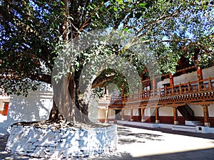 Punakha Dzong, Bhutan