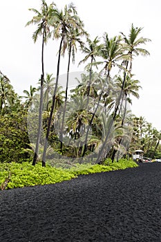 Punaluu black sand beach, Hawaii