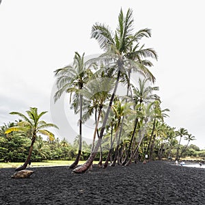 Punaluu black sand beach, Hawaii