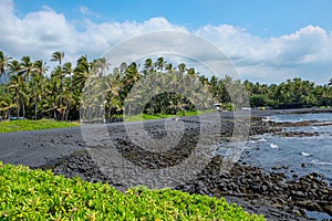 Punaluu Black Sand Beach