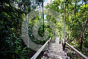 Puncak Harfat Harun Fatimah geosite Raja Ampat , Indonesia