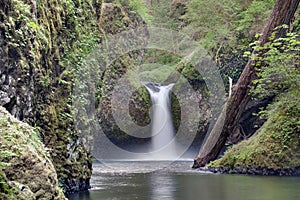 Punch Bowl Falls at Eagle Creek Closeup