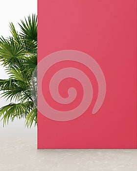 Punch pink colored wall with plant, background for product presentation