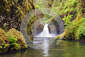 Punchbowl Falls