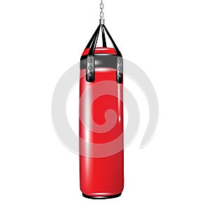 Punching bag for boxing