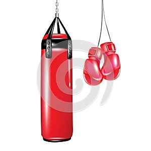 Punching bag and boxing gloves