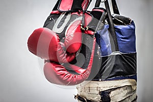 Punching bag and boxing gloves photograph