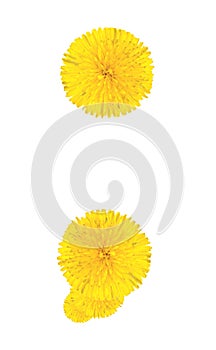 Punctuation marks made from dandelion flower