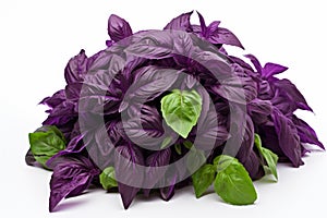 Pungent Purple basil herbs plant. Generate Ai photo