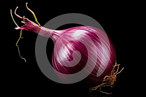 Pungent Ripe onion. Generate Ai photo