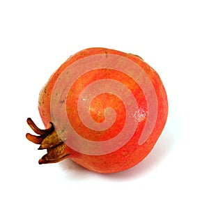 Punica granatum L. or pomegranate