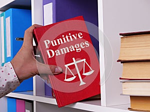 Punitive Damages are shown using the text photo