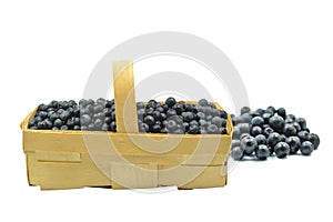 Punnet with blueberries