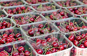 Punnet of cherries