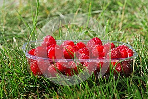 Punnet of raspberries