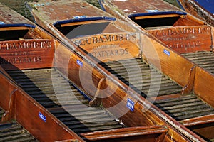 Punt Close-Up, Cambridge, England