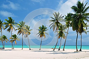 Punta Cana Beach photo