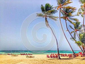 Punta Cana photo