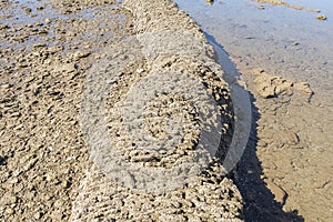 Punta Candor beach, Rota, Cadiz, Spain. Fishing weir, fish weir, fishgarth or kiddle photo