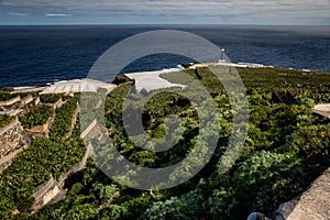 Canary Islands in the Atlantic Ocean, La Palma photo