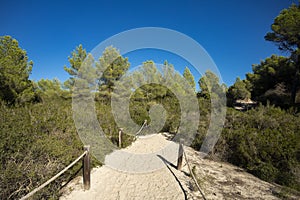 Punta de Amer Nature Reserve located on the island of Palma de Mallorca - Spain