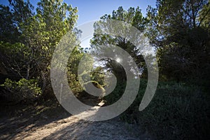 Punta de Amer Nature Reserve located on the island of Palma de Mallorca - Spain