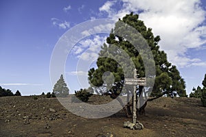 Punta de Encuentro between El Pinar and Sabinosa is a hiking point in the highest hike on El Hierro photo