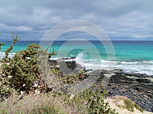 Punta de la Ballena on Fuerteventura