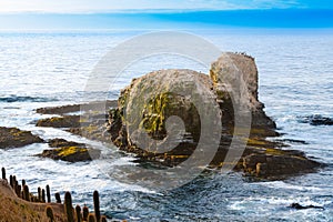 Punta de Lobos in Pichilemu