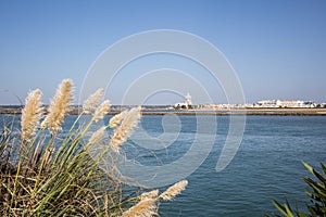 Punta de Moral, Andalucia,