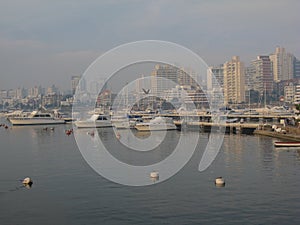 Punta del Este Beach Uruguay photo