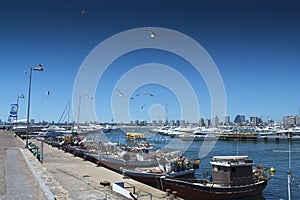 Punta del Este Pier