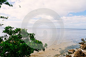 Punta Gorda harbor and peace river