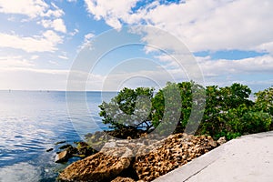 Punta Gorda harbor and peace river